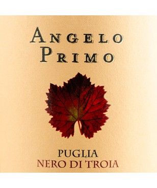 Vynas Cantine Paradiso ANGELO PRIMO Nero di Troia Puglia I.G.P. 0.75L